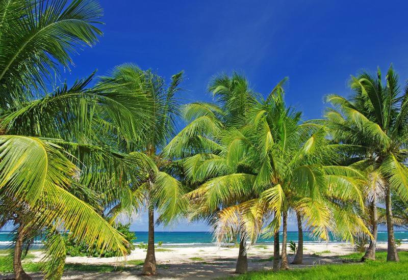 Villa Le Bord Bleu Ле-Муль Экстерьер фото